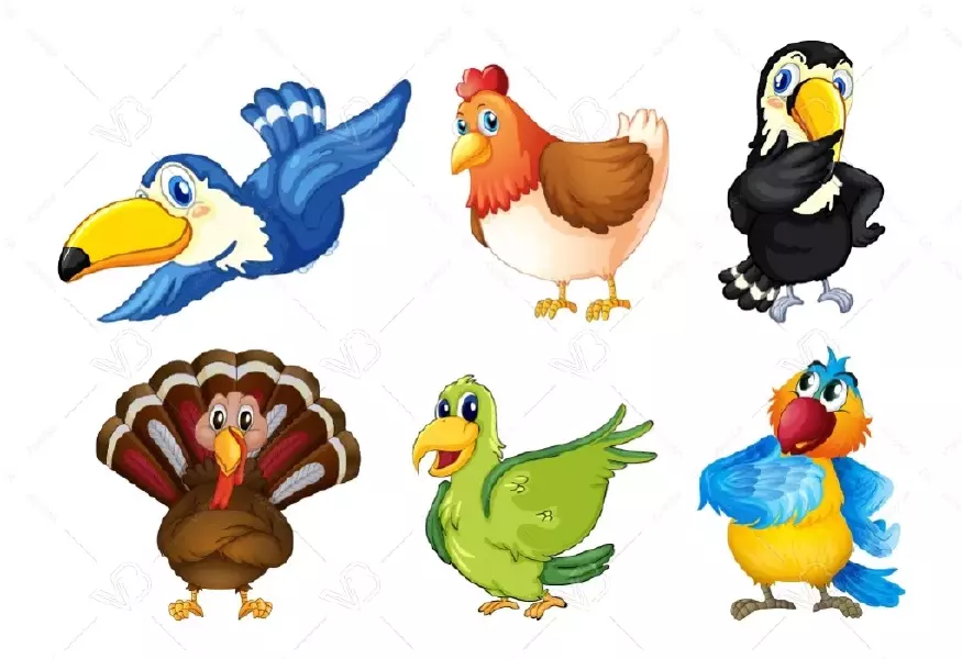 وکتور طراحی پرندگان کارتونی شماره دو