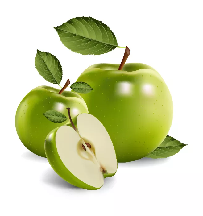 وکتور سیب سبز واقع بینانه